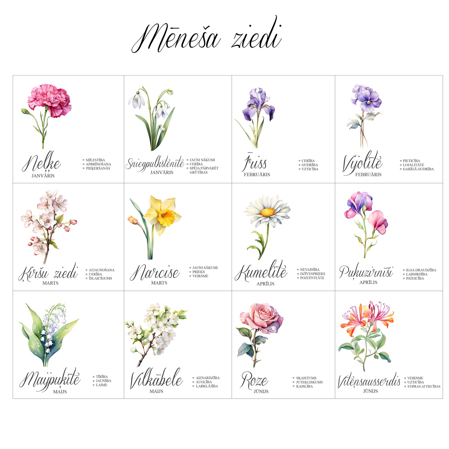 Personalizēta melnā turmalīna aproce ar mēneša ziedu