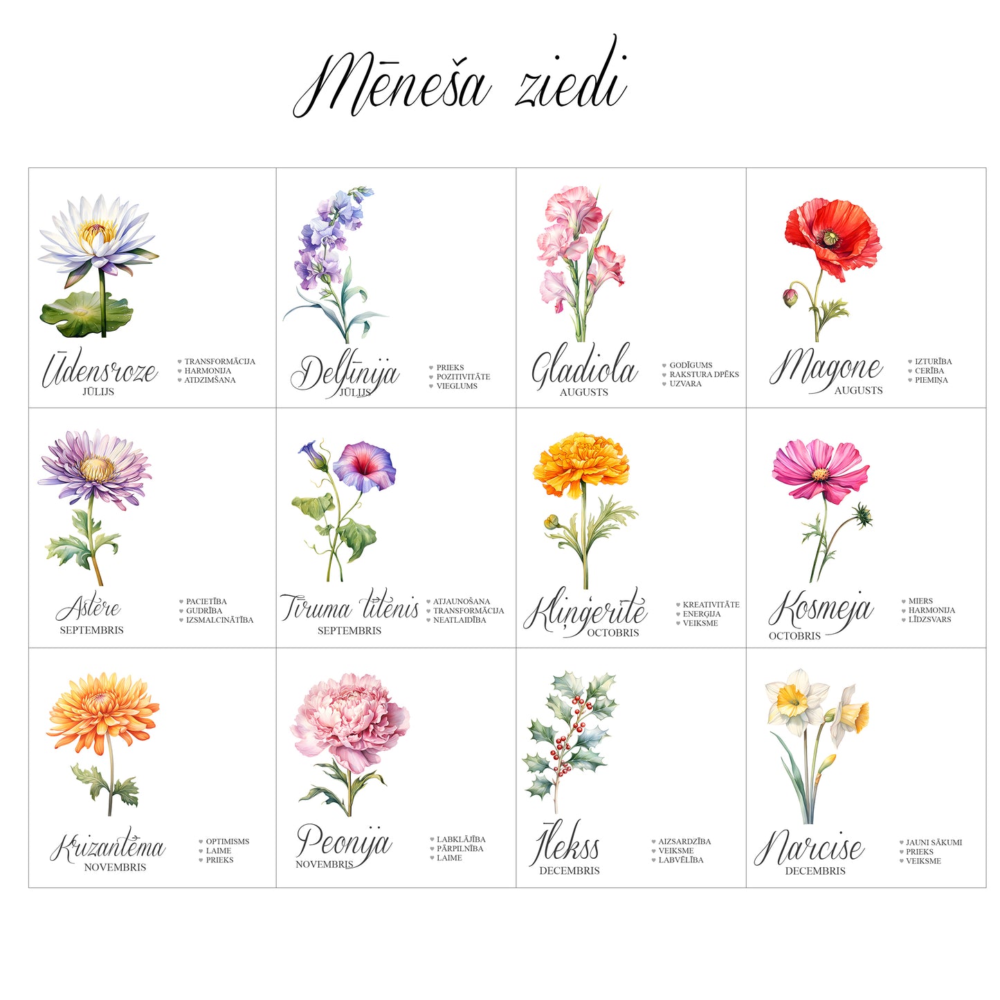 Personalizēta melnā turmalīna aproce ar mēneša ziedu