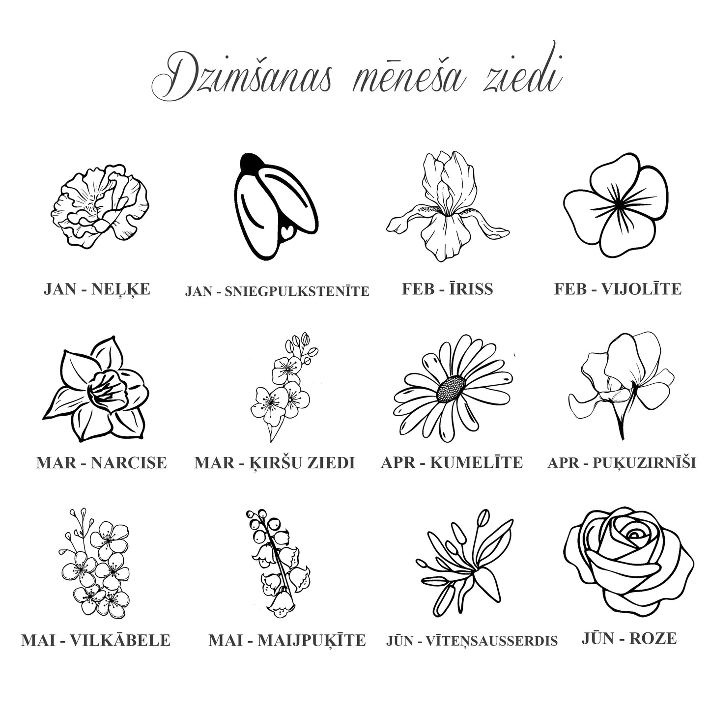 Kaklarota ar ģimenes mēnešu ziediem